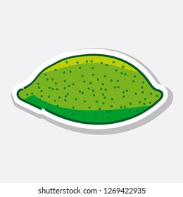 colorful lime illustration.vector design