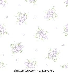 Colorful Line Grape on White Background. Vector Illustration.