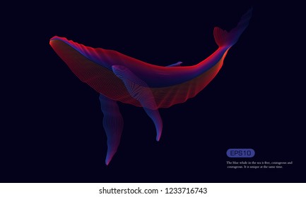 Colorful line whale vector background, press conference map