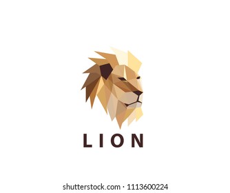 Colorful Lion Head Logo Illustration