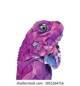 Colorful lizard, chameleon, polygonal logo, low poly, vector, illustration, symbol, wildlife, modern geometric design,  triangular, template, animal, mascot, abstract