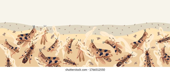 Colorful locusts attacking plants field horizontal background. Swarm of Insects threatening food security vector illustration. Large grasshoppers parasite on ripe seasonal seed head isolated on white