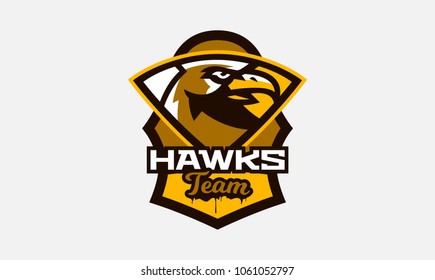 Colorful logo, sticker, emblem of a hawk head. Flying bird, hunter, predator, dangerous animal, shield, lettering. Mascot sports club, vector illustration
