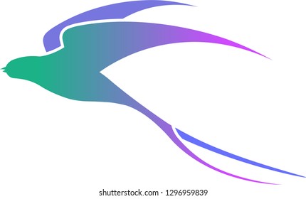 Colorful Long Tailed Swallow