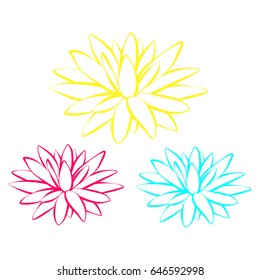 Colorful lotus flowers. vector illustration