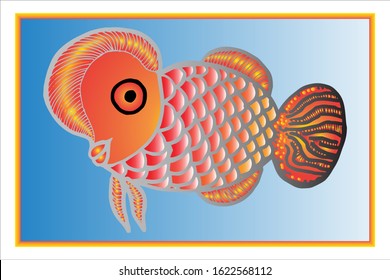 colorful Louhan Fish Vector Illustration. beautiful lou han fish, Hand drawing flowerhorn fish. EPS