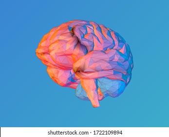 Colorful low poly brain vector illustration in perspective bottom view point isolated on blue background