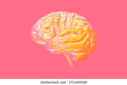 Colorful low poly human brain and wireframe vector illustration on blank pink background