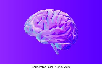 Colorful Low Poly Human Brain And Wireframe Vector Illustration On Purple Background