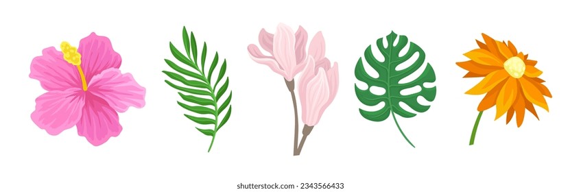 Colorful Lush Flower Buds and Exotic Leaf Vector Set