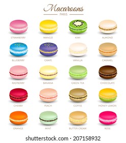 Colorful macaroons flavors vector