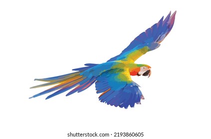 Colorful macaw parrot flying isolated on white. Vector illustration