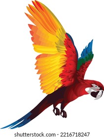 Diseño vectorial de loro de macao colorido