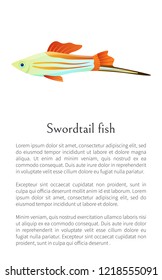 Colorful male swordtail fish isolated on white graphic. Freshwater aquarium fish icon on blank background, in cartoon style, vector illustration