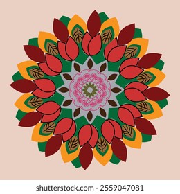 colorful mandala design  vector illustrator