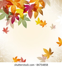 colorful maple background