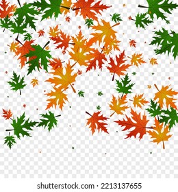 Colorful Maple Background Transparent Vector. Foliage Isolated Texture. Green Design. Realistic Frame. Red Floral Decoration.
