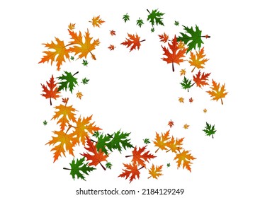 Colorful Maple Background White Vector. Leaves Seasonal Template. Gold Bright. Fall Texture. Ocher Plant Celebrate.