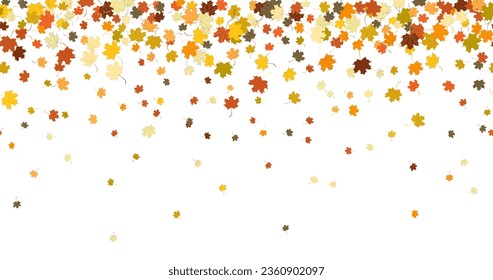 Colorful maple foliage on white. Seamless horizontal pattern bright maple autumn foliage. Graphic design autumn. Red orange yellow dry autumn leaves. Autumn foliage seasonal background. Vector