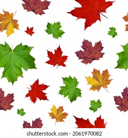 Colorful maple leaf seamless pattern on white background