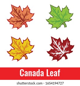 Colorful maple leaves on a white background Hand painted is a design work for decoration. In the spring