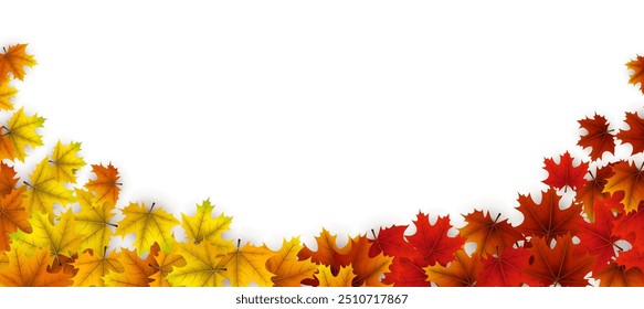 Colorful maple leaves in shades of yellow, orange, and red create a bottom border against a white background, ideal for seasonal banners or announcements.