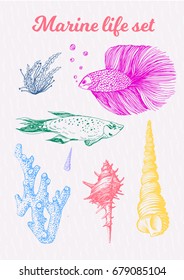 Colorful marine life set. Engraving style  vector illustration with fish and corals
