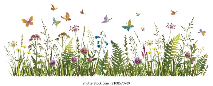 Colorful meadow herbs and flying butterflies. Flowering summer or spring field. Vector illustration. 