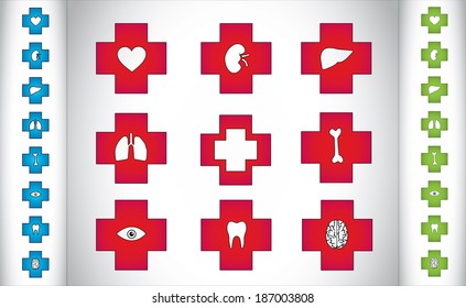 colorful medical plus icon symbols with different human body parts. Medical health icons with heart, kidney, liver, lungs, eyes, tooth, bone and brain symbol in the middle - color icons collection set