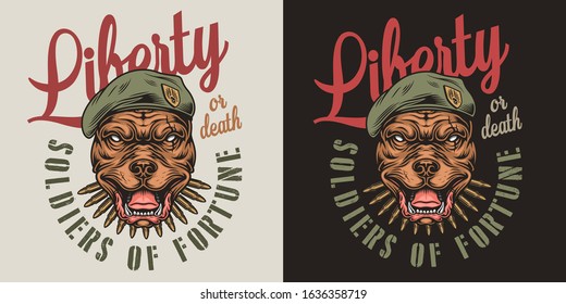 Colorful Military Vintage Badge With Cruel Pitbull Head In Navy Seal Beret Isolated Vector Illustration