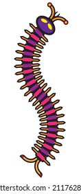 A colorful millipede with lots of legs against a white background