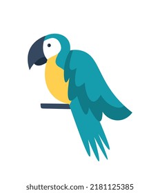 Colorful minimalistic parrot. Tropical and exotic birds, inhabitants of jungle. Mammals, animals and fauna. Social media stickers, poster or banner for website. Cartoon flat vector illustration