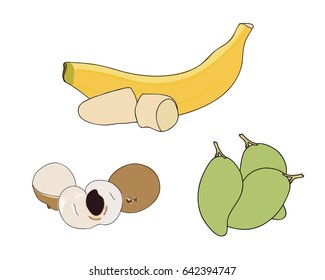 Colorful mix fruit illustration, banana, longan, mango.