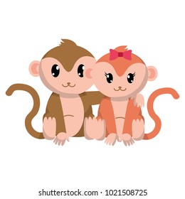 colorful monkey couple cute animal together