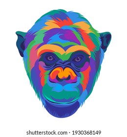 colorful monkey head on white background