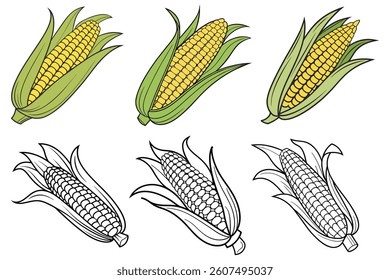 Colorful and Monochrome Corn Cob Illustrations for Coloring Books and Design