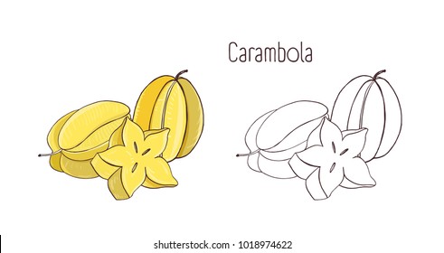 Colorful   monochrome outline drawings carambola starfruit  Whole   cut in cross  section ripe juicy fruits isolated white background  Gorgeous natural hand drawn vector illustration 
