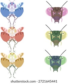 Ilustración colorida de polilla o escarabajo que representa insectos y patrones exóticos.
