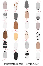 Colorful mouse in rows, top view