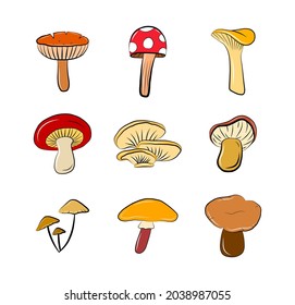 Colorful mushroom collection vector icon set isolated on white cartoon sticker autumn season harvest vegetables 