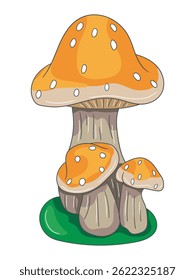 Colorful mushroom illustration featuring detailed caps and stems, ideal for botanical designs, nature-themed prints, fairy tale art, or educational materials.