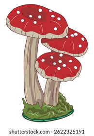 Colorful mushroom illustration featuring detailed caps and stems, ideal for botanical designs, nature-themed prints, fairy tale art, or educational materials.