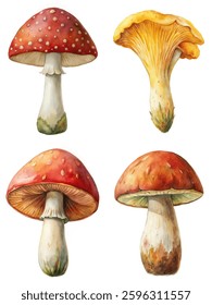 Colorful mushroom illustrations, detailed botanical art, nature-inspired design, vibrant watercolor style, perfect for culinary use.