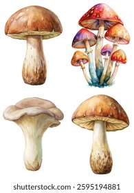 Colorful mushroom illustrations, watercolor style, botanical art, nature-inspired design, vibrant fungi collection.