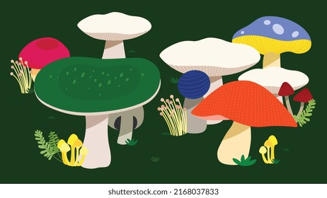 colorful mushrooms in the forest