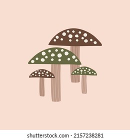 Colorful mushrooms hand drawn vector illustration. Amanita in flat style for logo or icon.