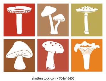 Colorful mushrooms icons. Different cartoon mushrooms. Vector illustration.