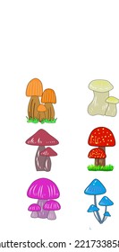 Colorful mushrooms orange white red blue purple