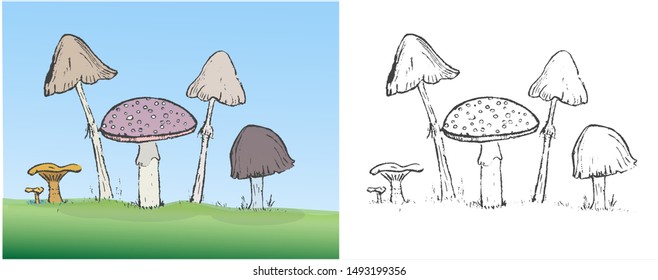 colorful mushrooms and silhouettes vector set