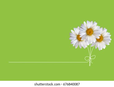 Colorful Naturalistic Beautiful 3D Chamomile Background Vector Illustration. Eps10